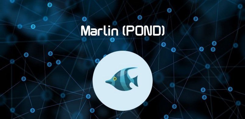 pond-coin-5.jpg