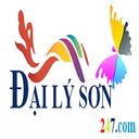 dailyson247com