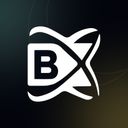 blockchainx