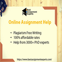 BESTASSIGNMENTEXPERTS